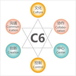金和C6六脈神劍 跨越企業(yè)管理黑洞的智慧之道